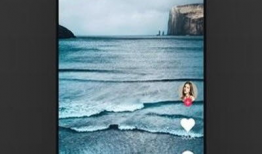 猫爪短视频素材库,捕捉萌宠瞬间，解锁趣味生活